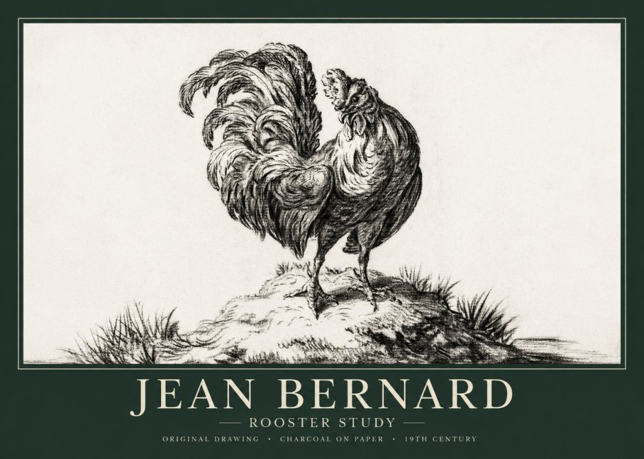 Jean Bernard Study of a Rooster No2 - Póster