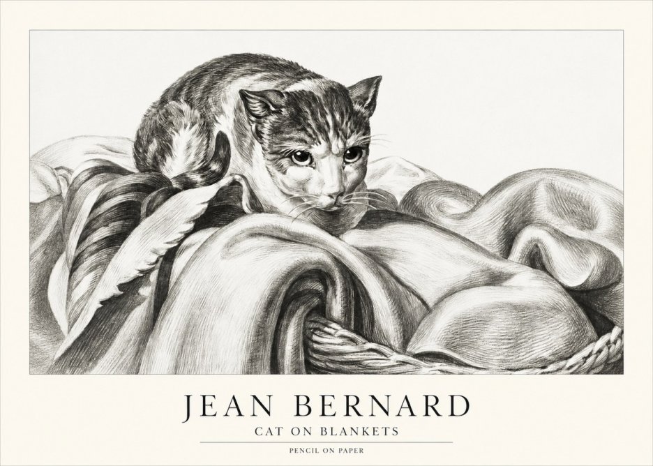 Jean Bernard Cat on a Blanket No2 - Póster
