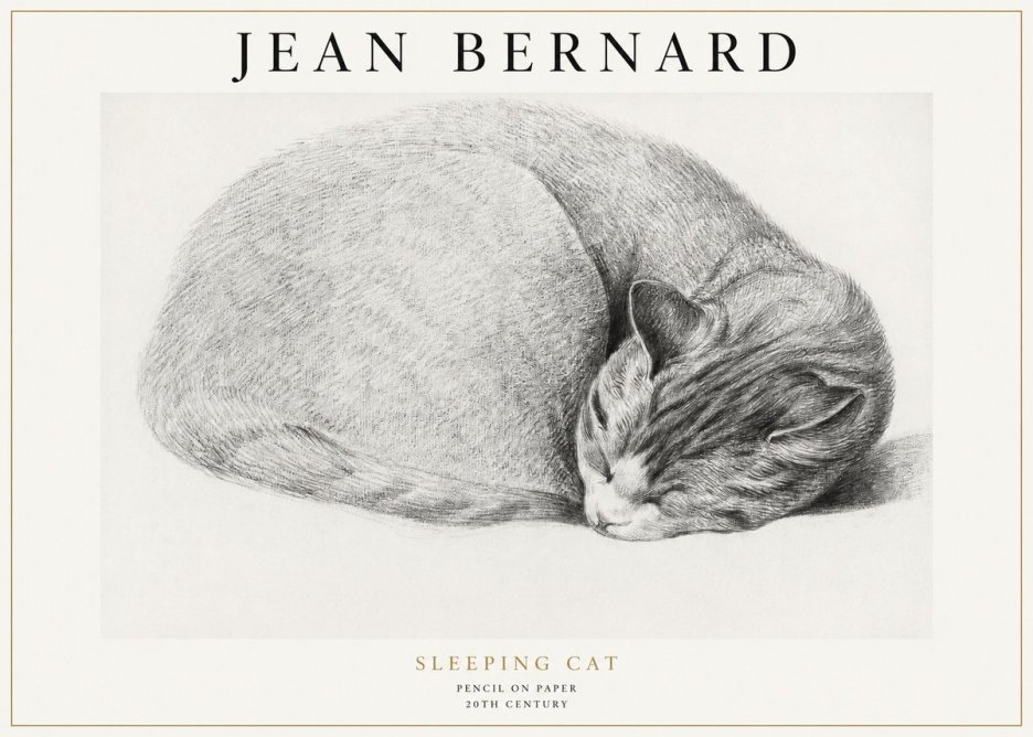 Jean Bernard Sleeping Cat IX No1 - Póster