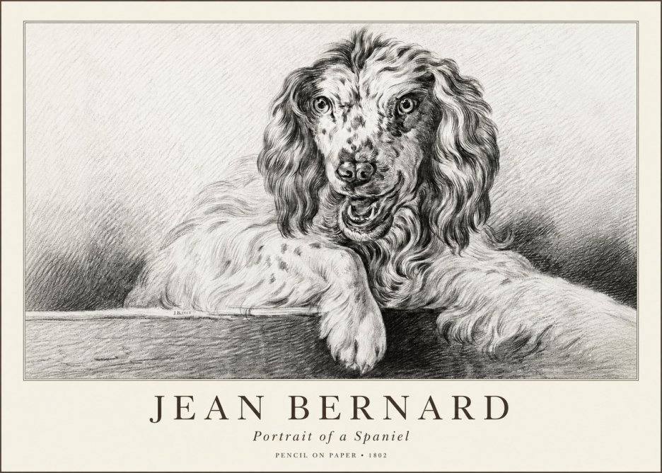 Jean Bernard Portrait of a Spaniel No1 - Póster