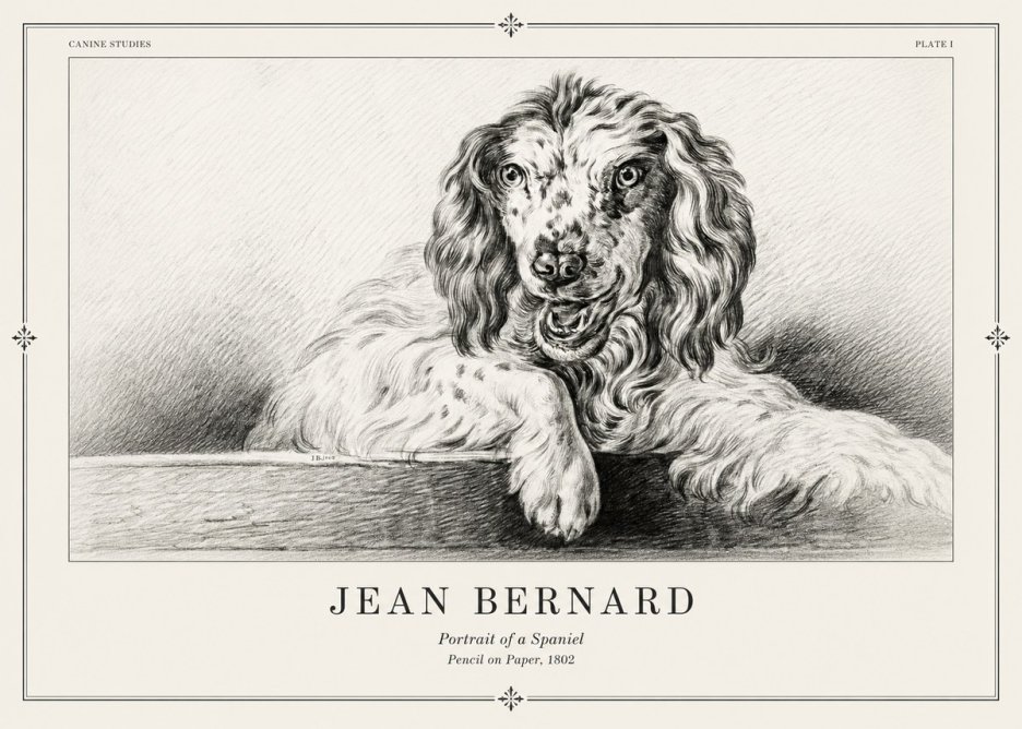 Jean Bernard Portrait of a Spaniel No2 - Póster