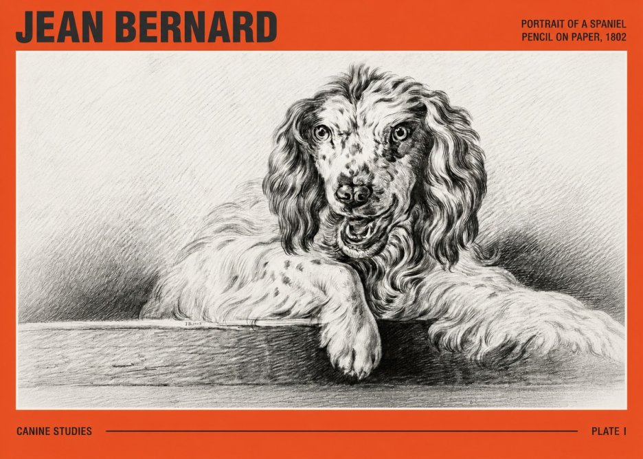 Jean Bernard Portrait of a Spaniel No3 - Póster