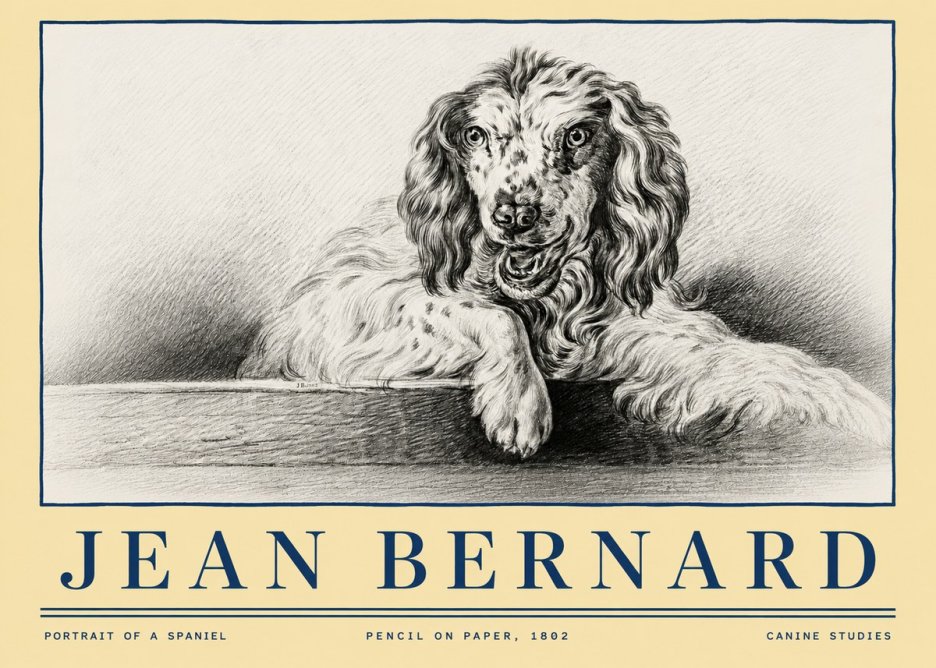 Jean Bernard Portrait of a Spaniel No4 - Póster