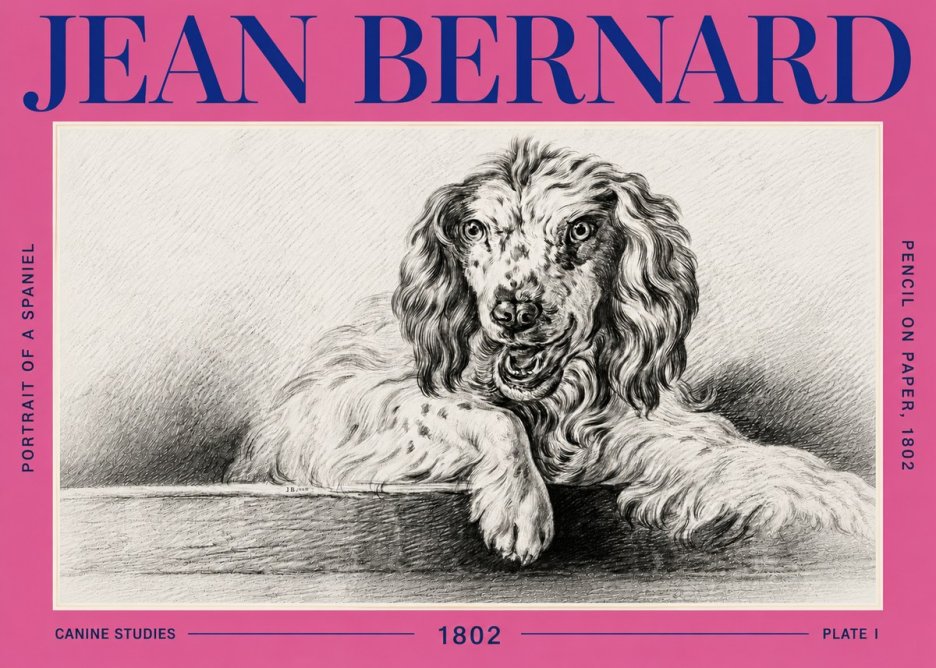 Jean Bernard Portrait of a Spaniel No6 - Póster
