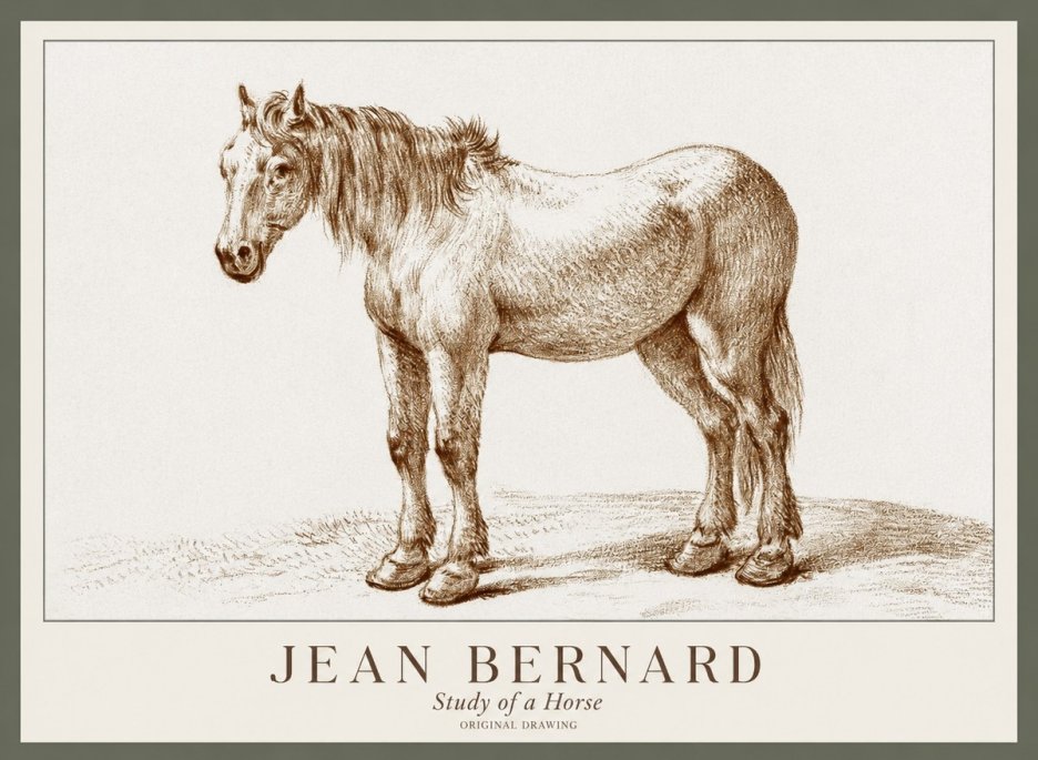 Jean Bernard Study of a Horse XIV No1 - Póster