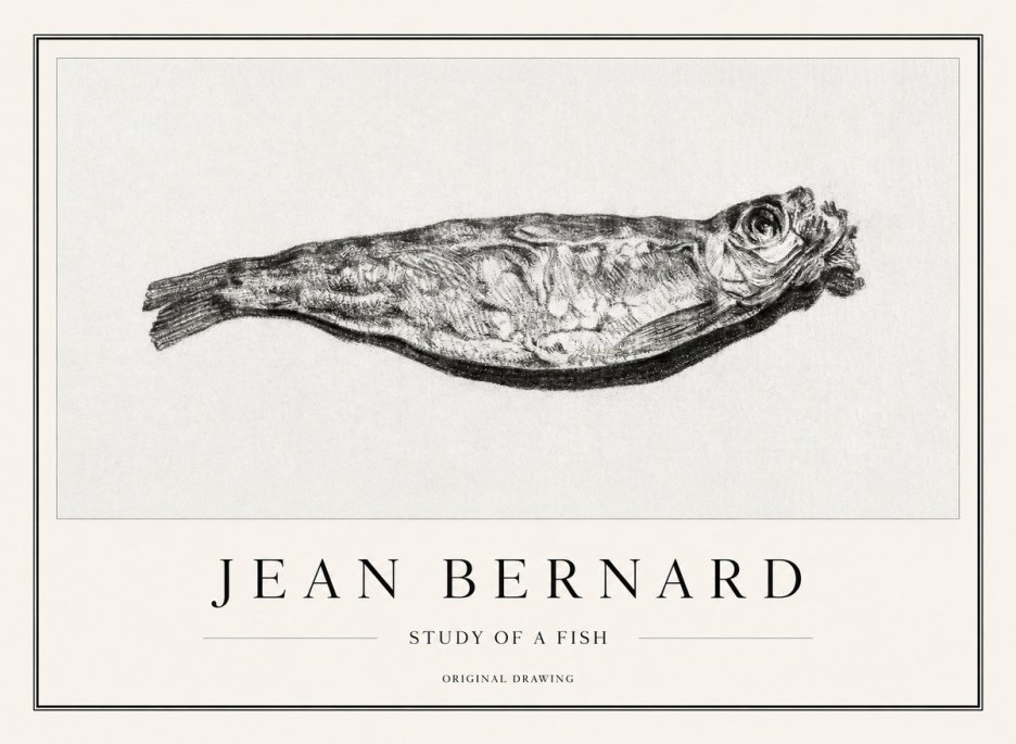 Jean Bernard Study of a Fish V No1 - Póster