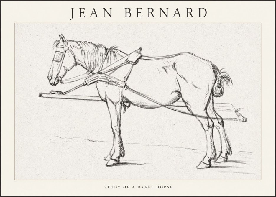 Jean Bernard Study of a Draft Horse II No1 - Póster