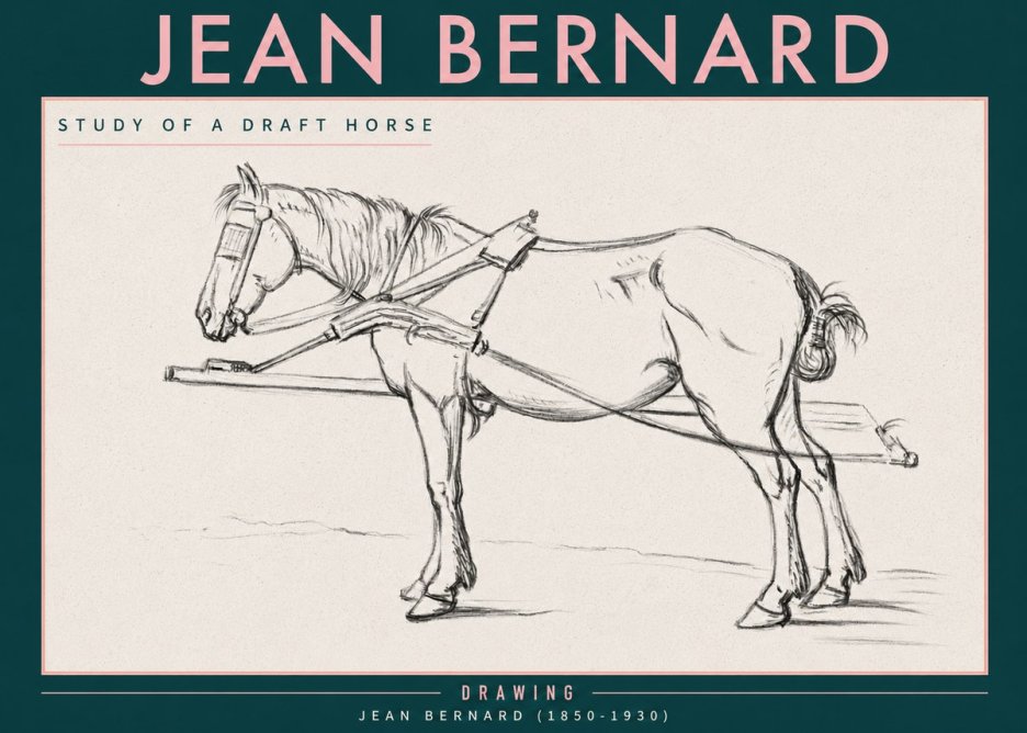 Jean Bernard Study of a Draft Horse II No3 - Póster