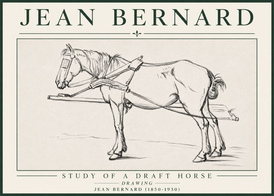 Jean Bernard Study of a Draft Horse II No4 - Póster
