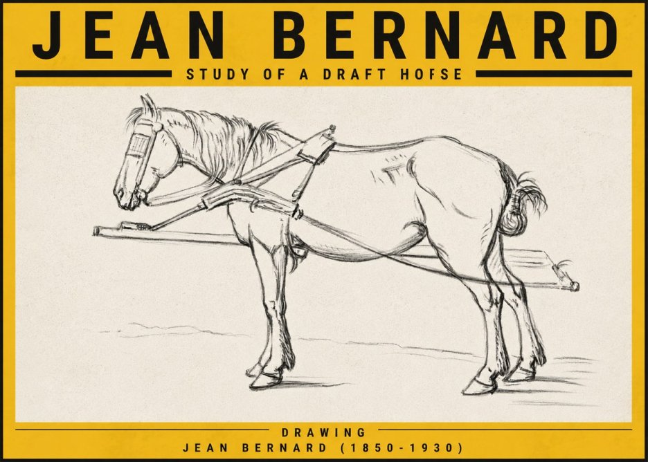 Jean Bernard Study of a Draft Horse II No5 - Póster