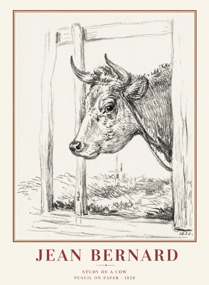 Jean Bernard Study of a Cow XVIII No1 - Póster
