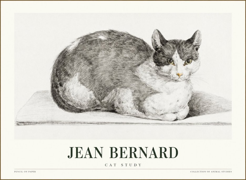 Jean Bernard Cat Study XI No1 - Póster