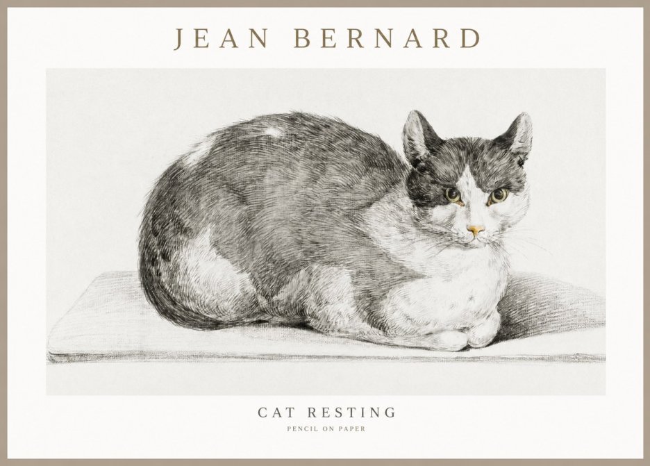 Jean Bernard Cat Study XI No3 - Póster
