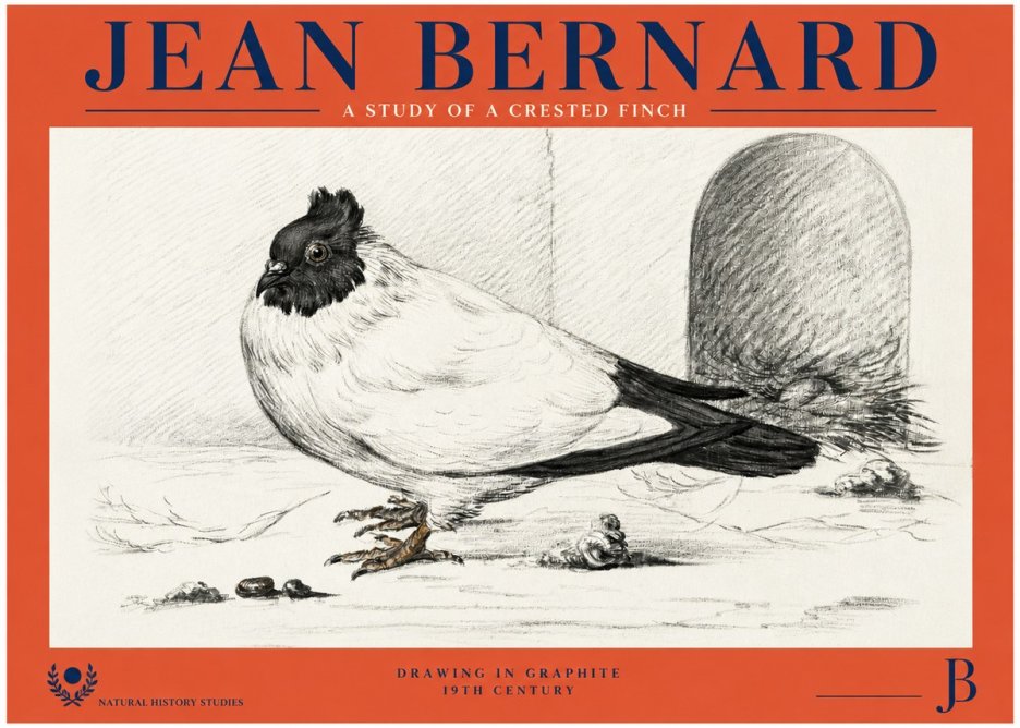 Jean Bernard A Study of a Crested Finch No2 - Póster