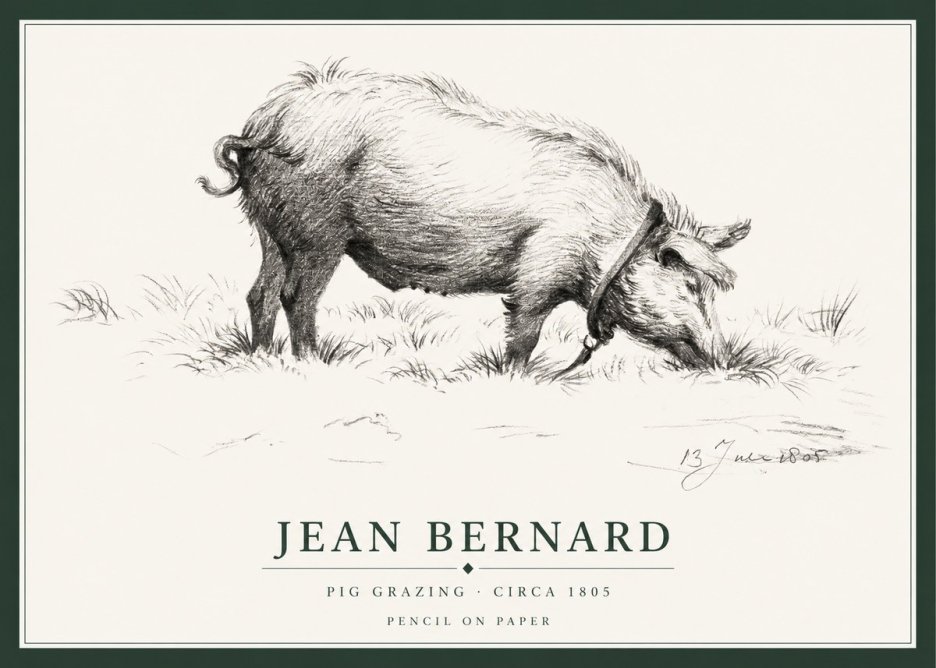 Jean Bernard Pig Grazing No1 - Póster