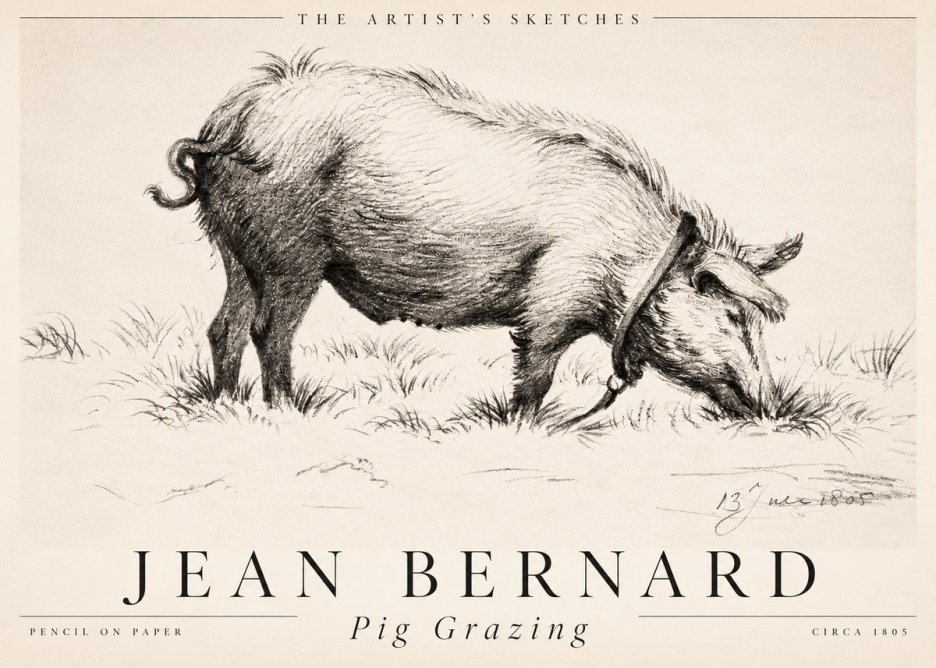 Jean Bernard Pig Grazing No2 - Póster