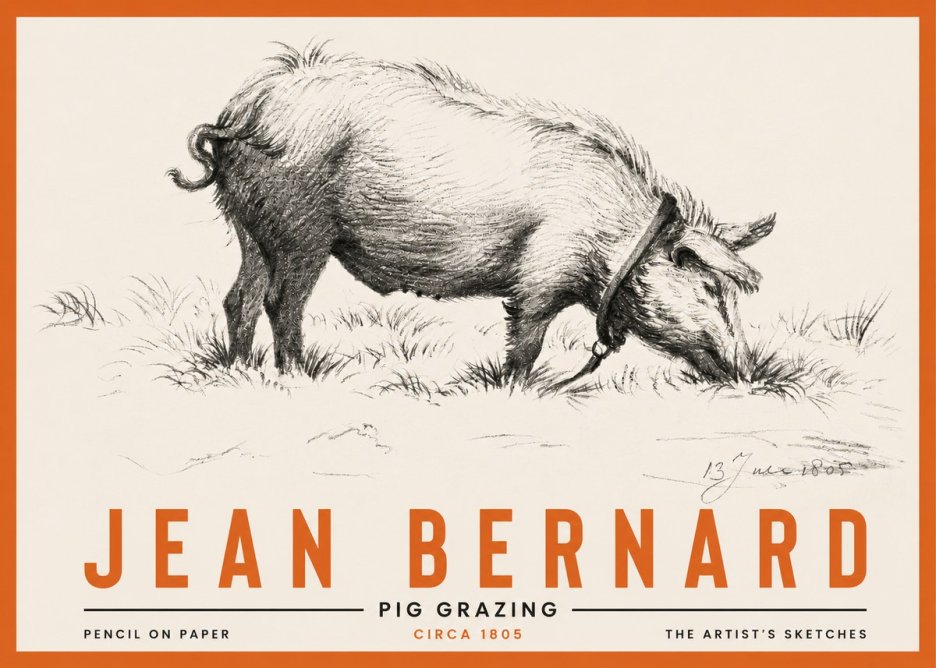 Jean Bernard Pig Grazing No4 - Póster