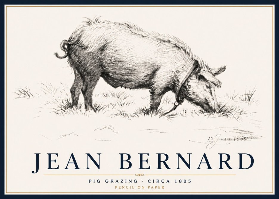 Jean Bernard Pig Grazing No5 - Póster