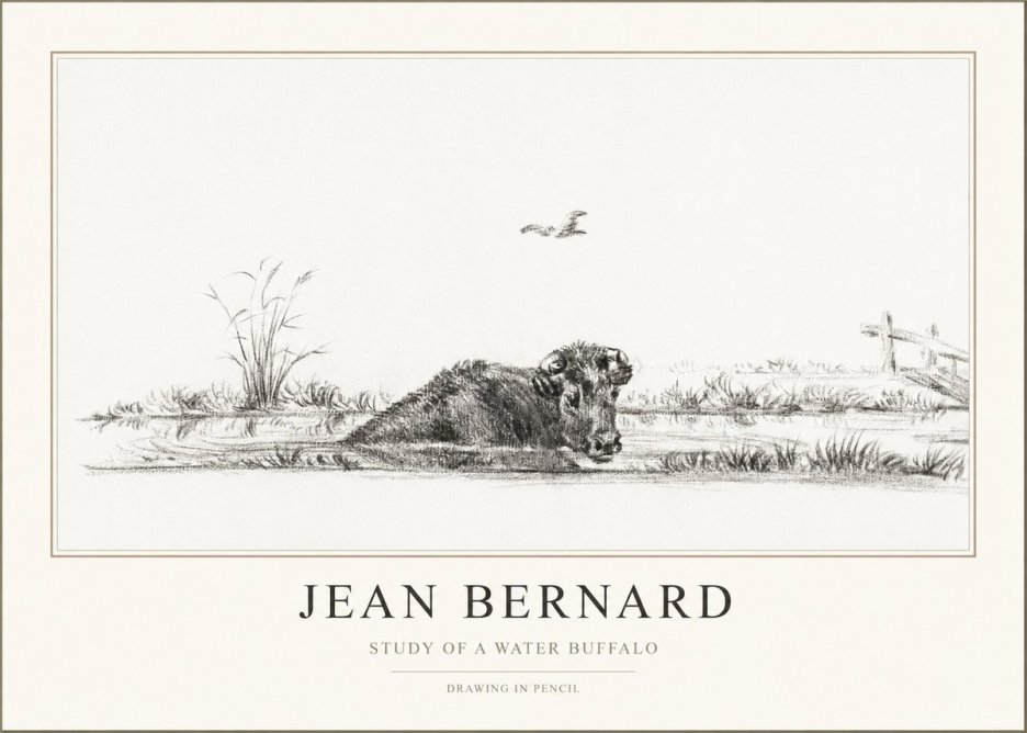 Jean Bernard Study of a Water Buffalo No1 - Póster
