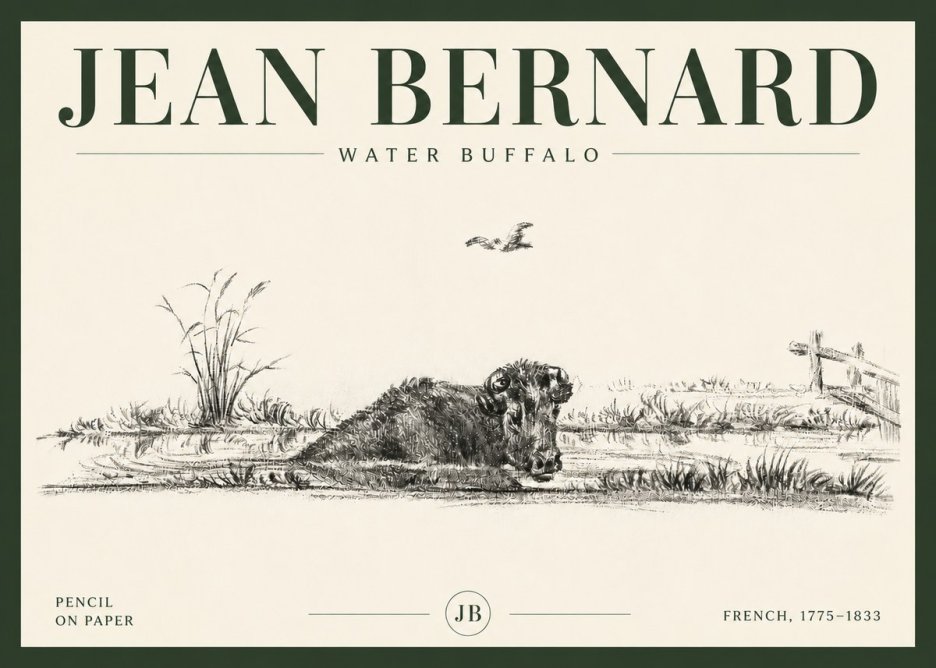 Jean Bernard Study of a Water Buffalo No6 - Póster