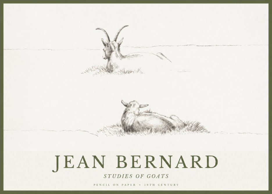 Jean Bernard Two Goats Resting No2 - Póster
