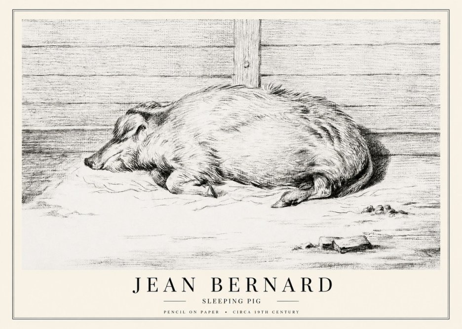 Jean Bernard Sleeping Pig I No1 - Póster