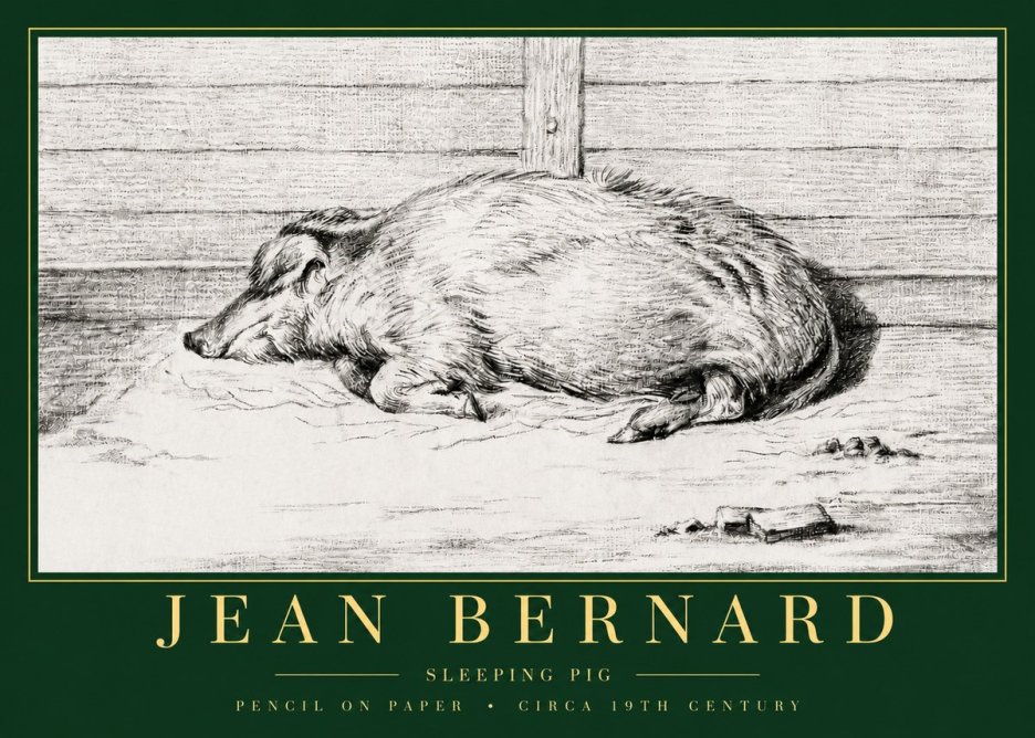 Jean Bernard Sleeping Pig I No3 - Póster