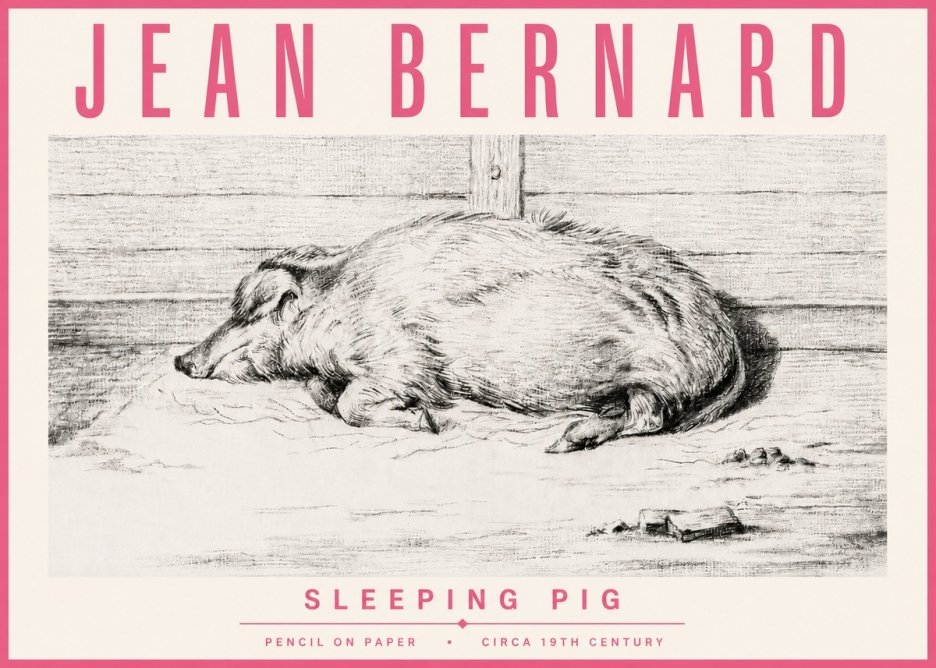 Jean Bernard Sleeping Pig I No4 - Póster