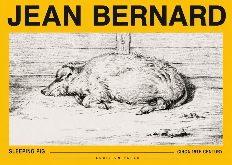 Jean Bernard Sleeping Pig I No5 - Póster