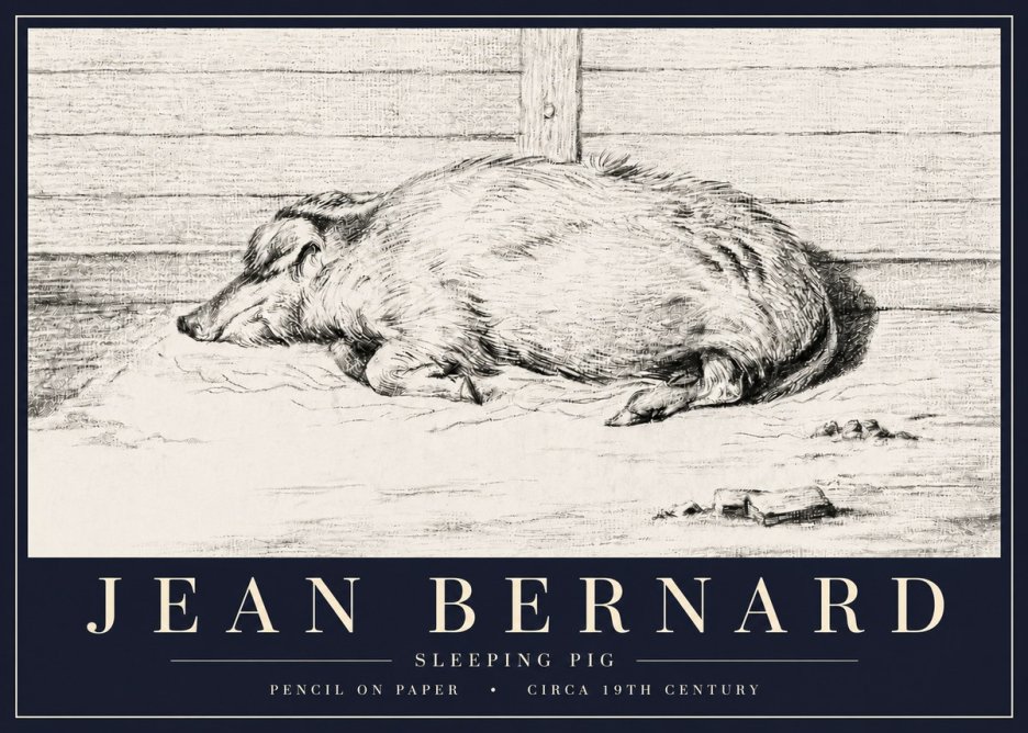 Jean Bernard Sleeping Pig I No6 - Póster