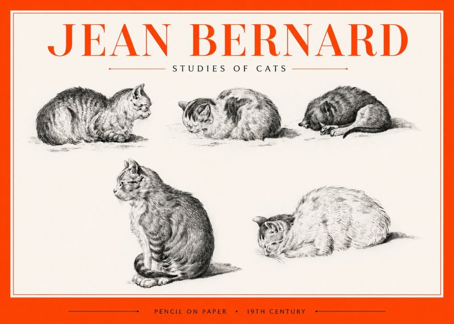 Jean Bernard Studies of Cats No2 - Póster