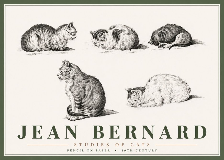 Jean Bernard Studies of Cats No6 - Póster