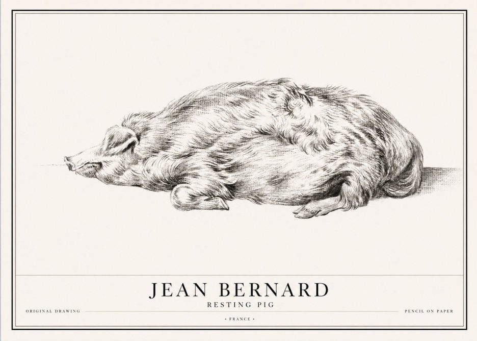 Jean Bernard Resting Pig II No1 - Póster