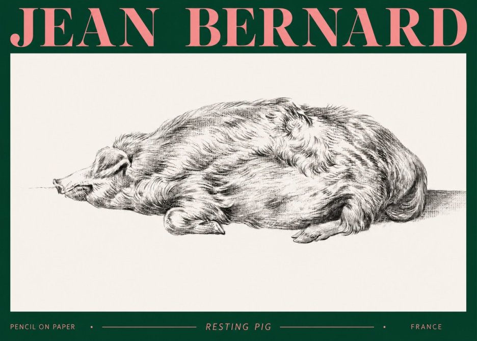 Jean Bernard Resting Pig II No2 - Póster