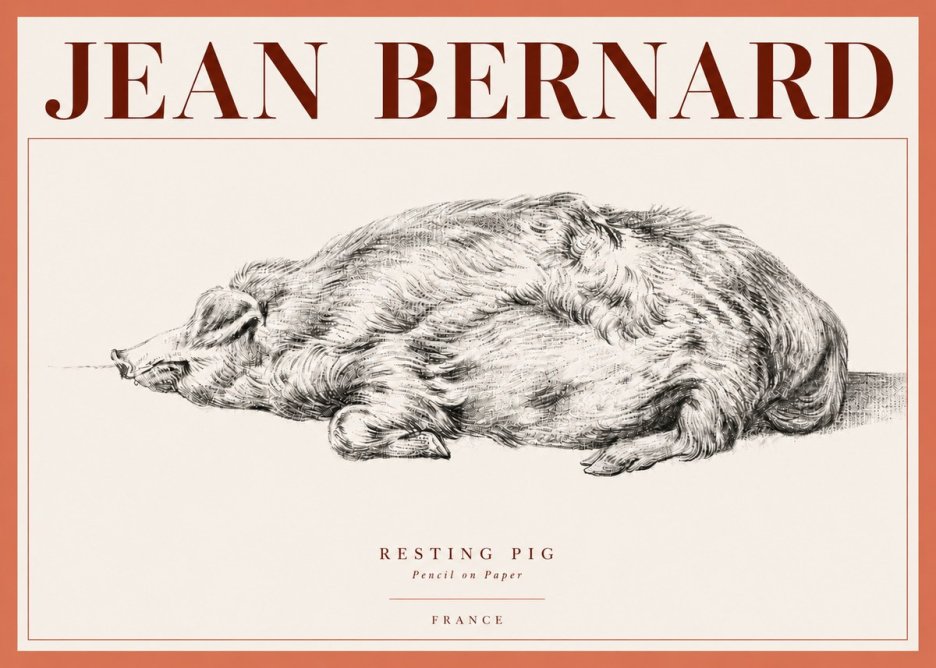 Jean Bernard Resting Pig II No4 - Póster