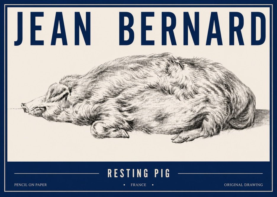 Jean Bernard Resting Pig II No5 - Póster