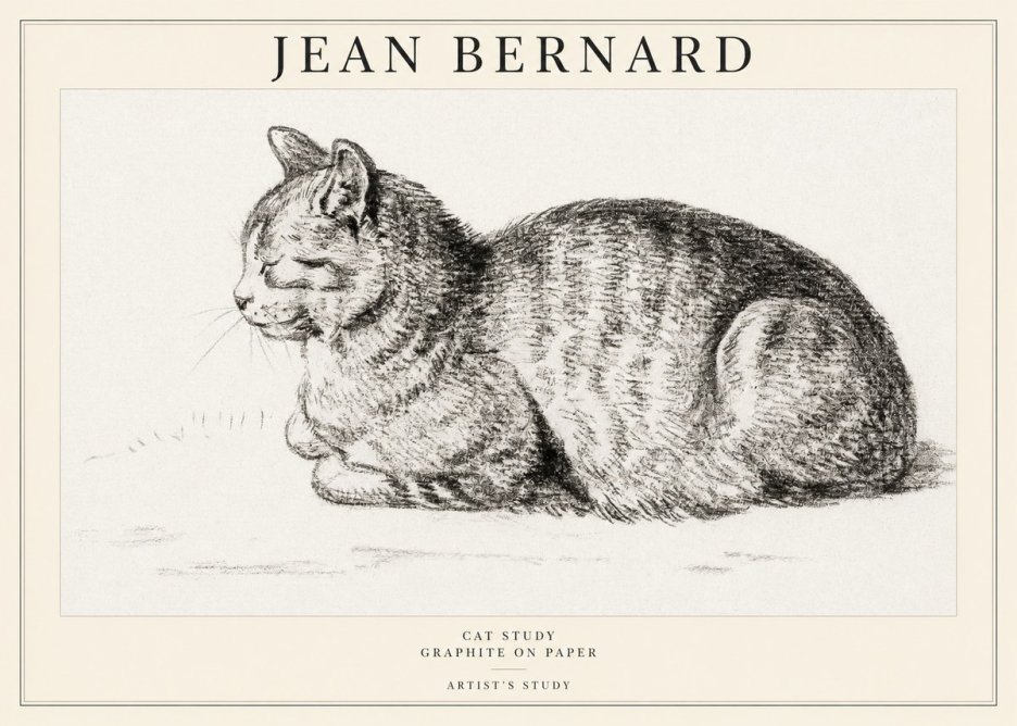 Jean Bernard Cat Study XII No1 - Póster