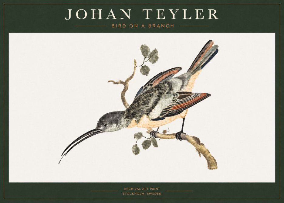 Johan Teyler Bird on a Branch No1 - Póster