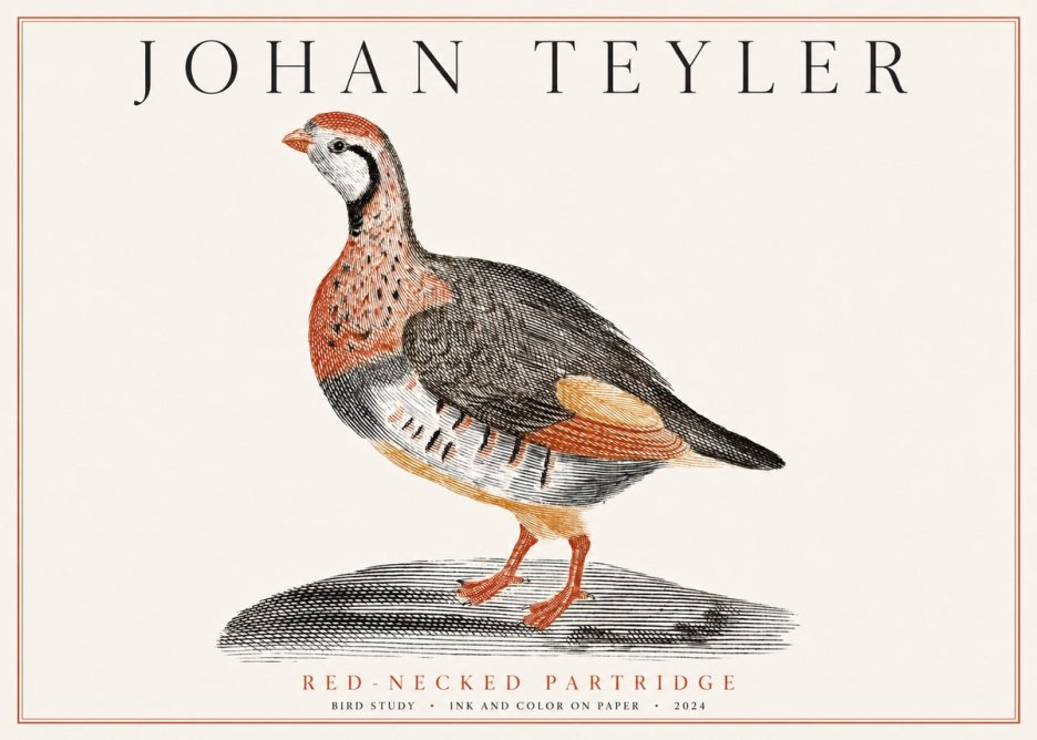 Johan Teyler Red-necked Partridge No1 - Póster