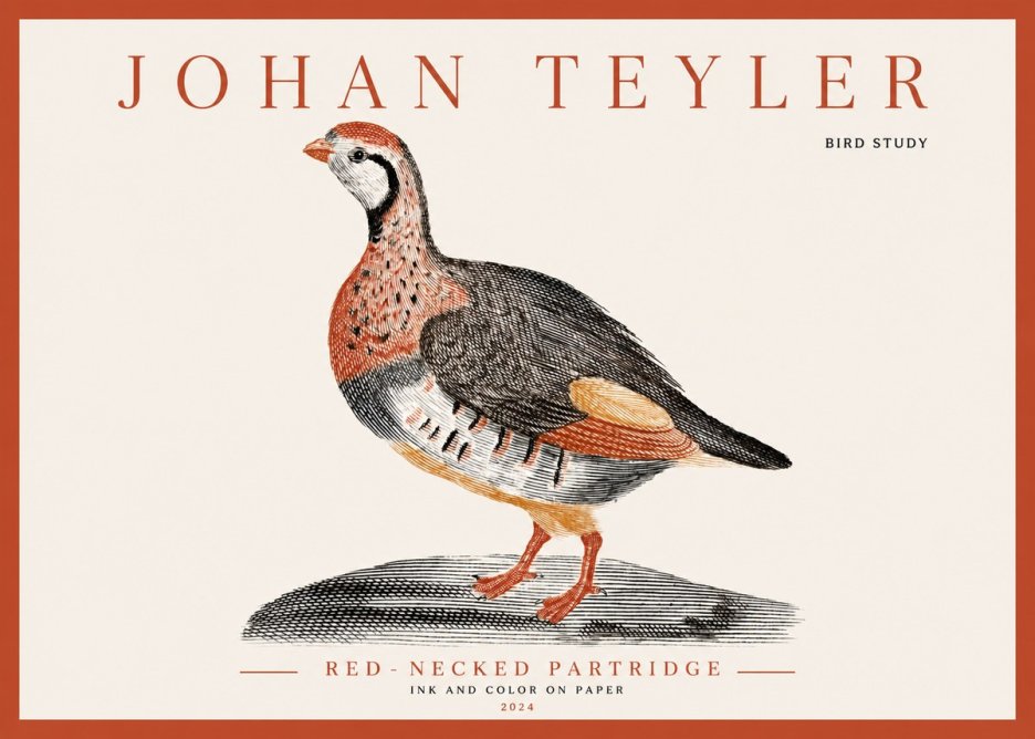 Johan Teyler Red-necked Partridge No3 - Póster