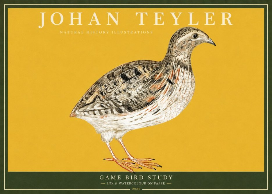 Johan Teyler Game Bird Study No2 - Póster