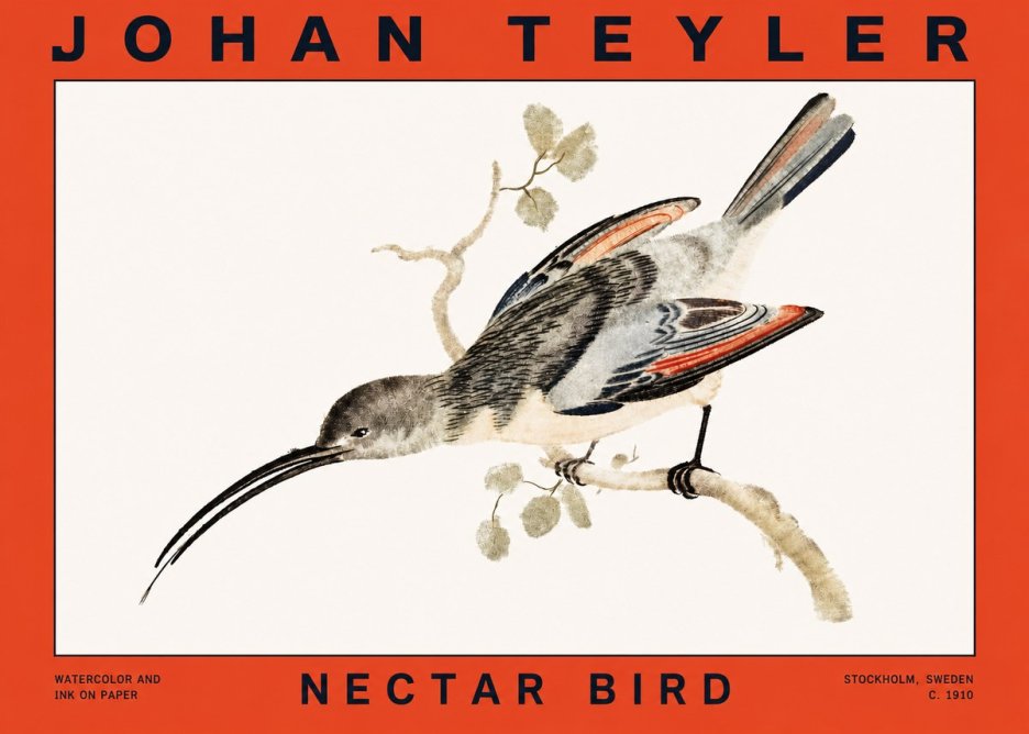 Johan Teyler Nectar Bird No2 - Póster