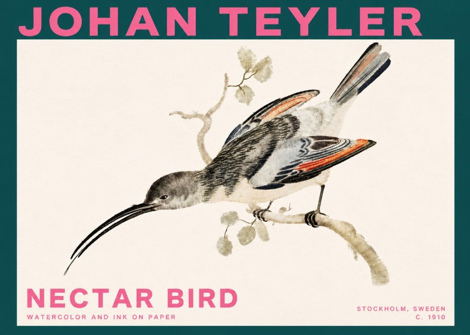 Johan Teyler Nectar Bird No3 - Póster