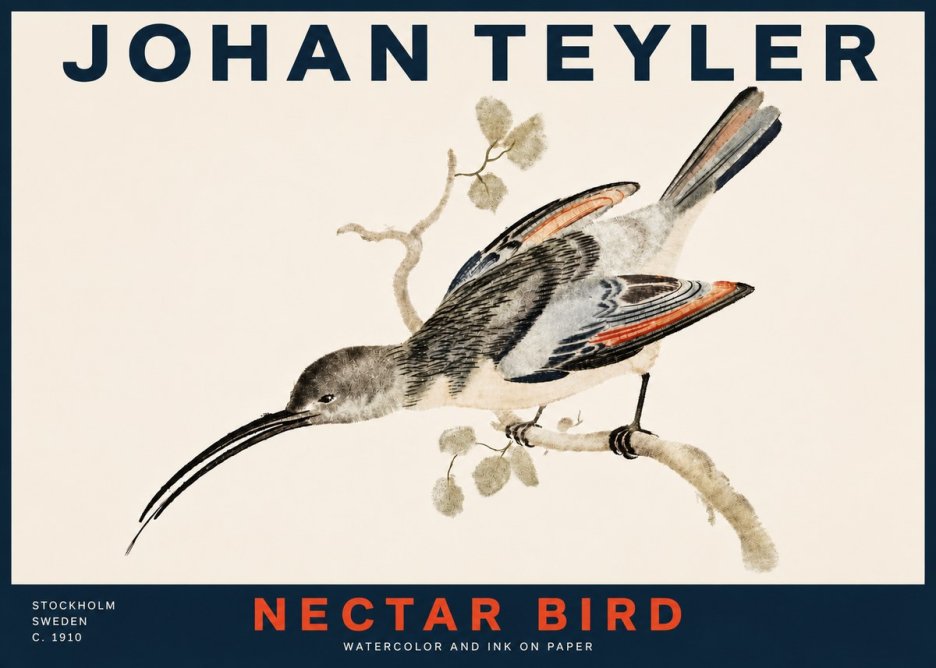 Johan Teyler Nectar Bird No4 - Póster