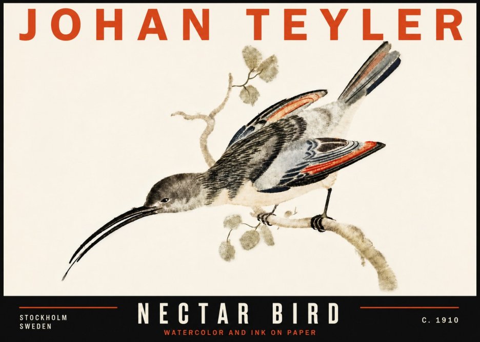 Johan Teyler Nectar Bird No6 - Póster