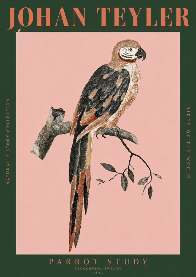 Johan Teyler Parrot Study I No2 - Póster
