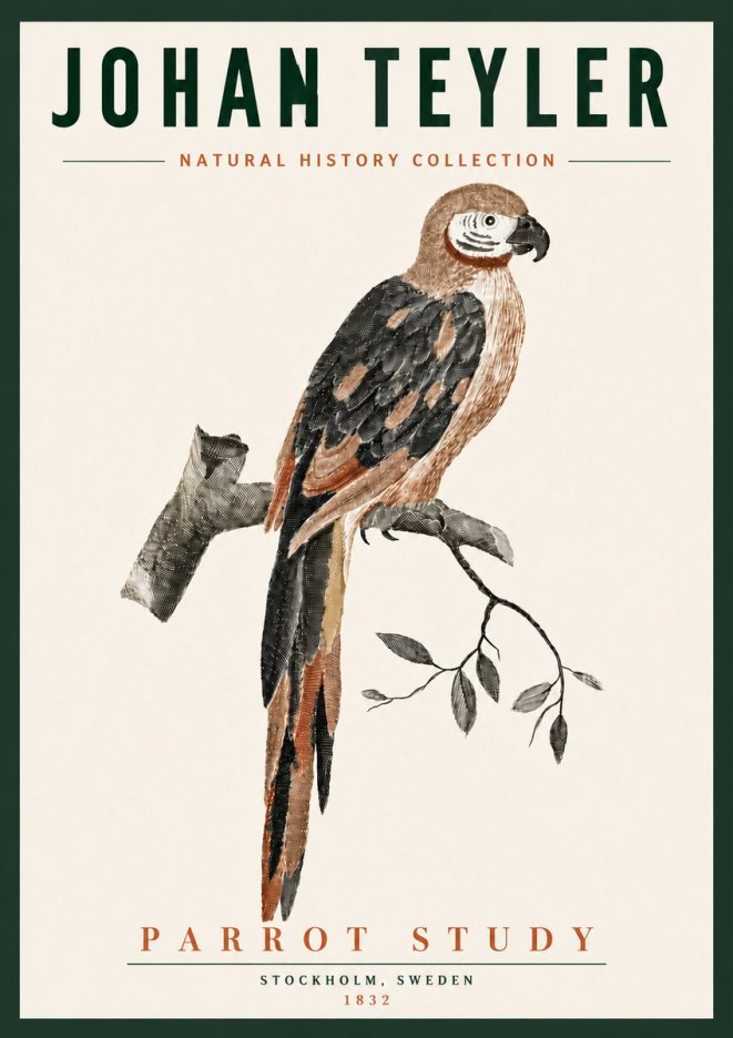 Johan Teyler Parrot Study I No6 - Póster