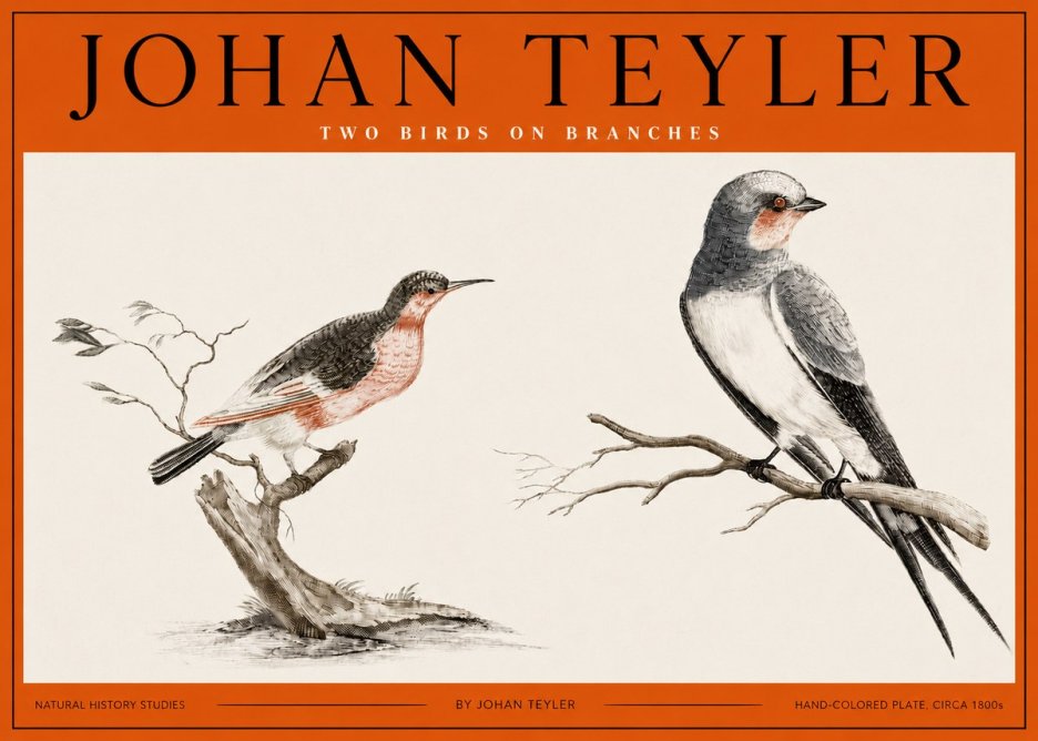 Johan Teyler Two Birds on Branches No2 - Póster