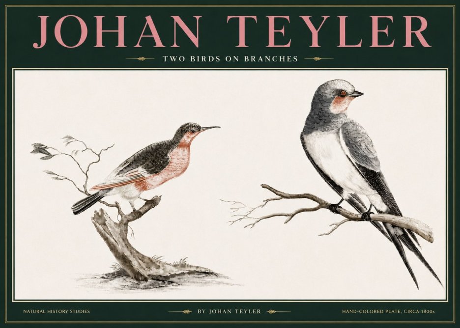 Johan Teyler Two Birds on Branches No3 - Póster