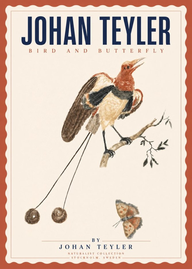 Johan Teyler Bird and Butterfly No3 - Póster